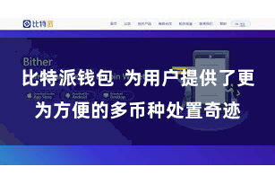 比特派钱包  为用户提供了更为方便的多币种处置奇迹
