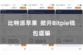 比特派苹果 掀开Bitpie钱包诓骗