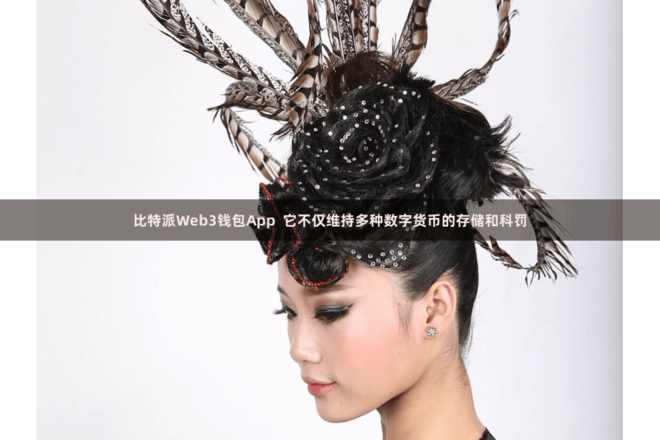 比特派Web3钱包App  它不仅维持多种数字货币的存储和科罚