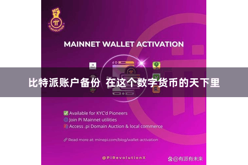 比特派账户备份  在这个数字货币的天下里
