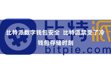 比特派数字钱包安全  比特派禁受了冷钱包存储时刻