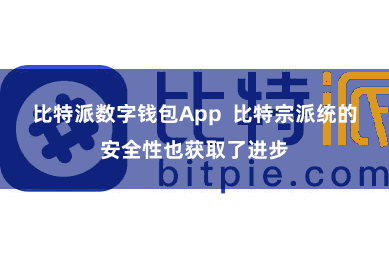 比特派数字钱包App  比特宗派统的安全性也获取了进步