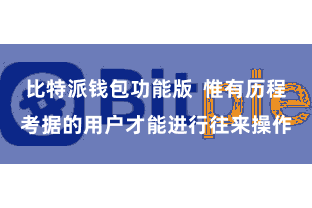 比特派钱包功能版  惟有历程考据的用户才能进行往来操作