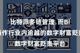 比特派多链管理  而Bitpie当作行业内逾越的数字财富贬责平台