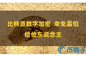 比特派数字加密  幸免露馅给他东说念主