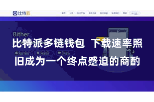 比特派多链钱包  下载速率照旧成为一个终点蹙迫的商酌