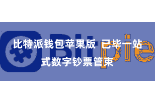 比特派钱包苹果版  已毕一站式数字钞票管束