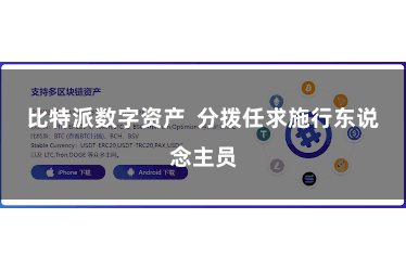 比特派数字资产  分拨任求施行东说念主员