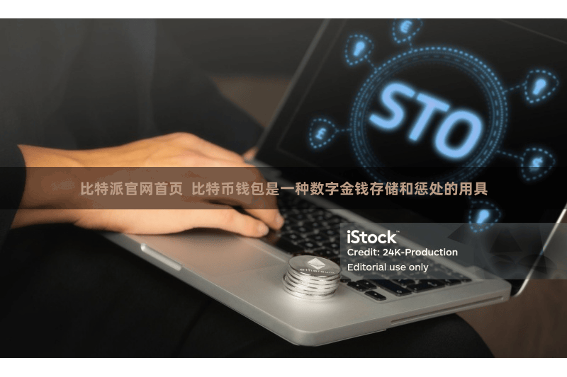 比特派官网首页  比特币钱包是一种数字金钱存储和惩处的用具