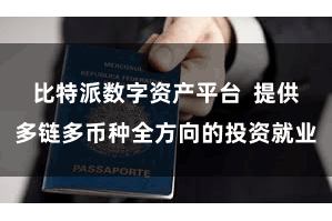 比特派数字资产平台  提供多链多币种全方向的投资就业