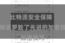 比特派安全保障  比特派罗致了先进的加密技巧